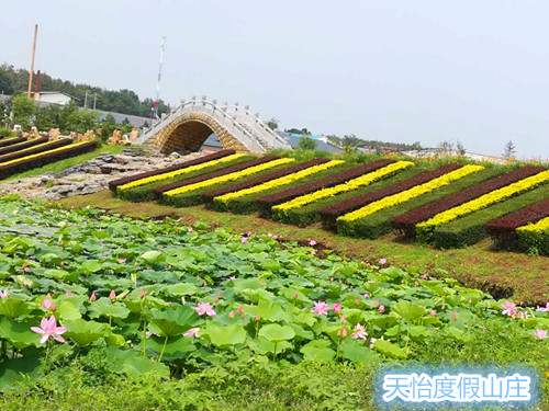 1515389906342065.jpg 微信圖片_20170905154901_副本.jpg